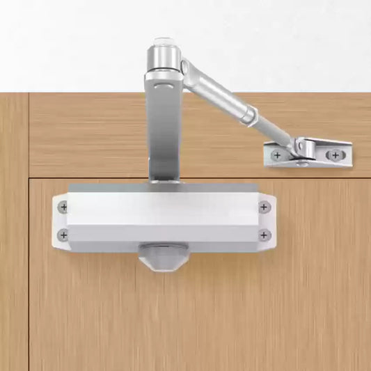 BRITON - 133 Exposed Door Closer